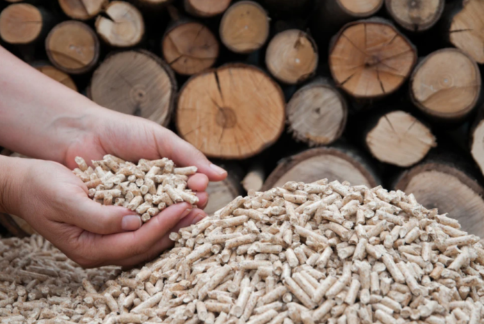 Screenshot 2024-09-19 104732