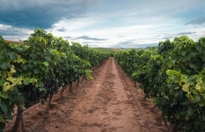 Screenshot 2024-09-26 092726